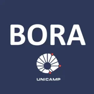 Logo BORA